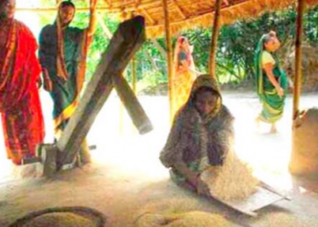 ঢেঁকি, গ্রন্থনা মীর বরকর