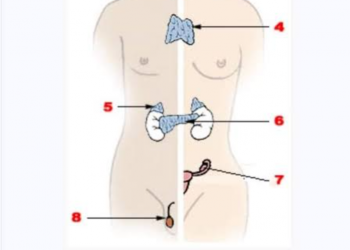 আট কুঠরীর নয় দরজাটা, আসলে কি?